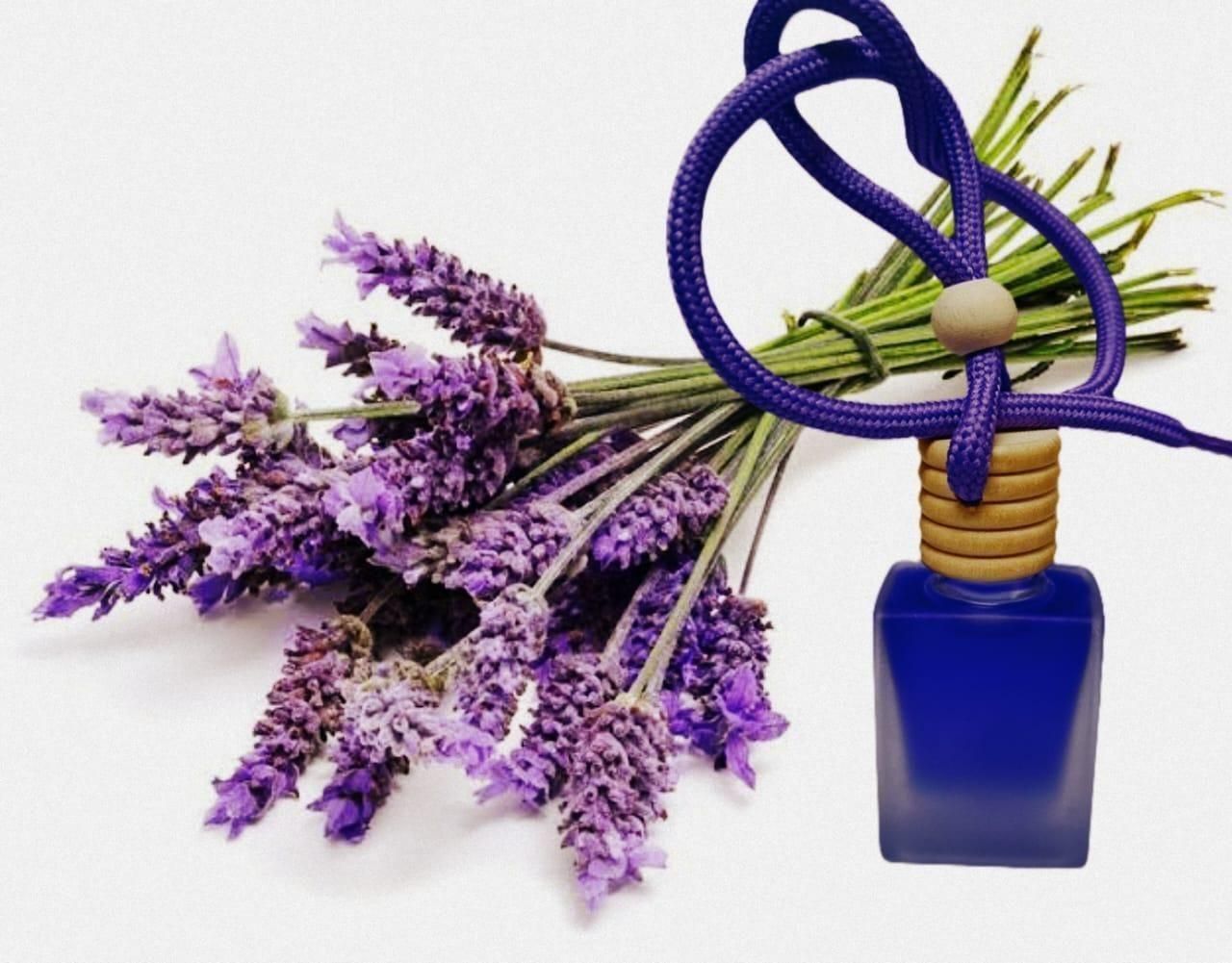 Hanging Car Perfume Pods Diffuser Scent