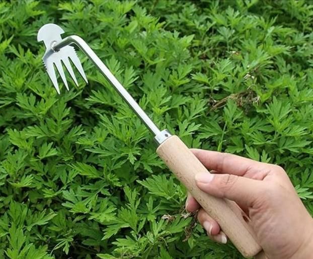 Puller Sharp Weeding Toolsđ„â