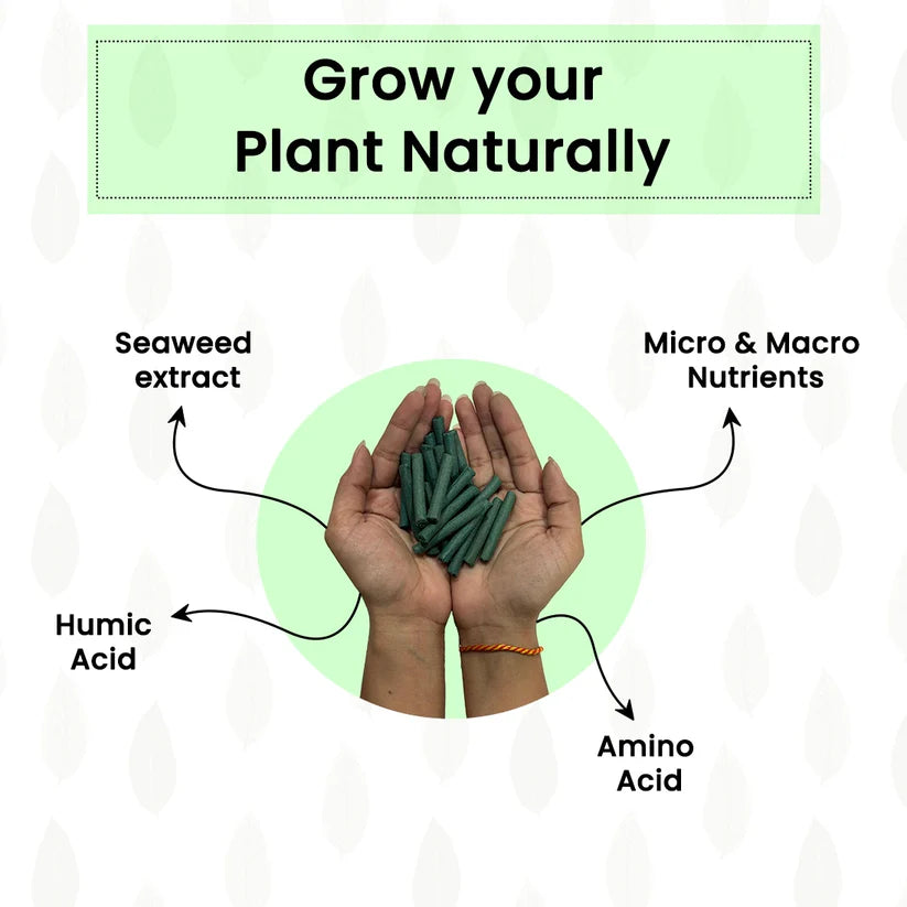 All Purpose Plant Grow Fertilizer Sticks (Buy 1 Get 1 Free)