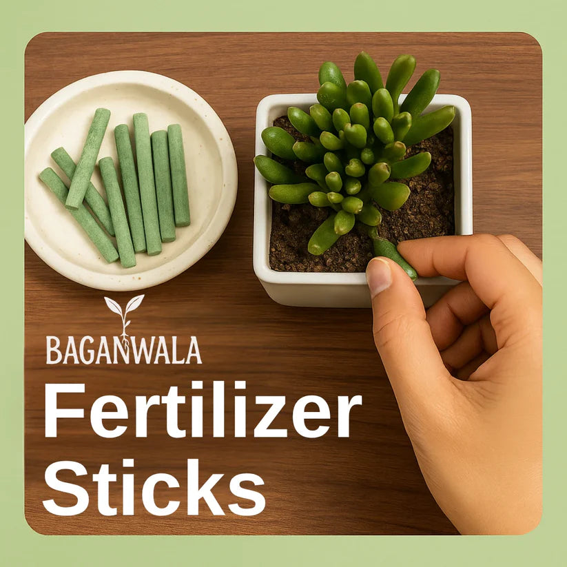 All Purpose Plant Grow Fertilizer Sticks (Buy 1 Get 1 Free)