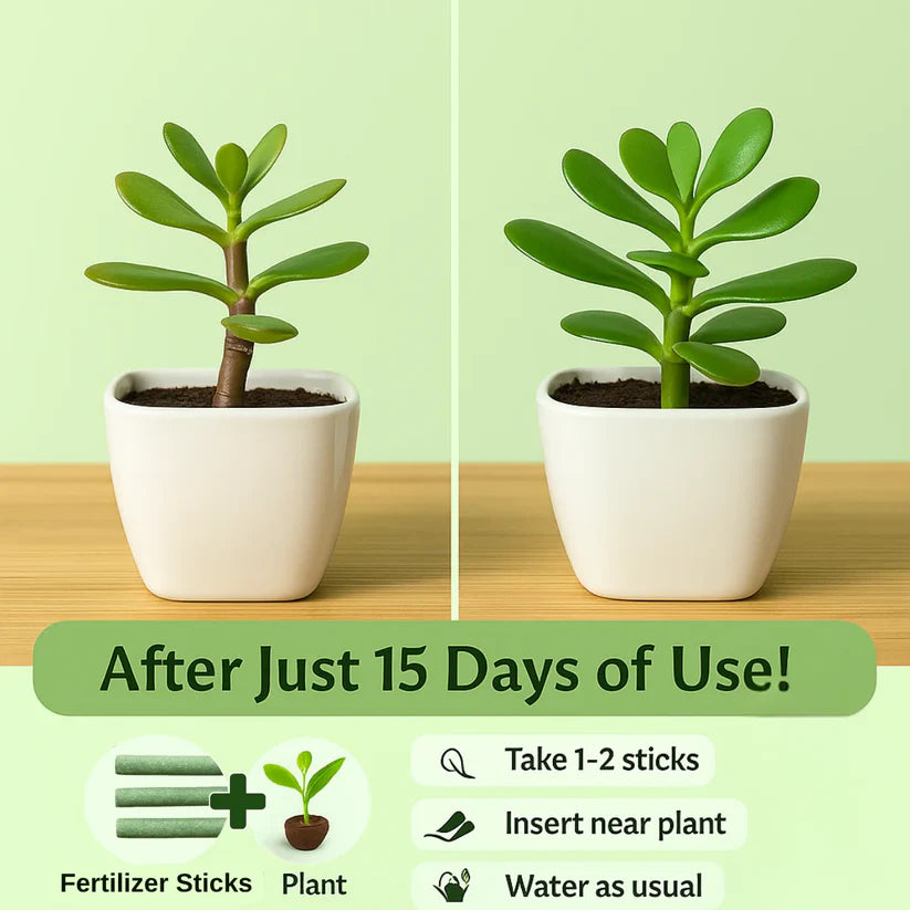All Purpose Plant Grow Fertilizer Sticks (Buy 1 Get 1 Free)