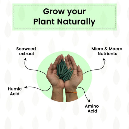 All Purpose Plant Grow Fertilizer Sticks (Buy 1 Get 1 Free)