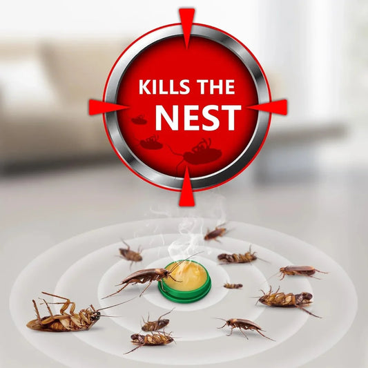 Powerful Cockroach Killer (Buy 1 Get 1 Free)